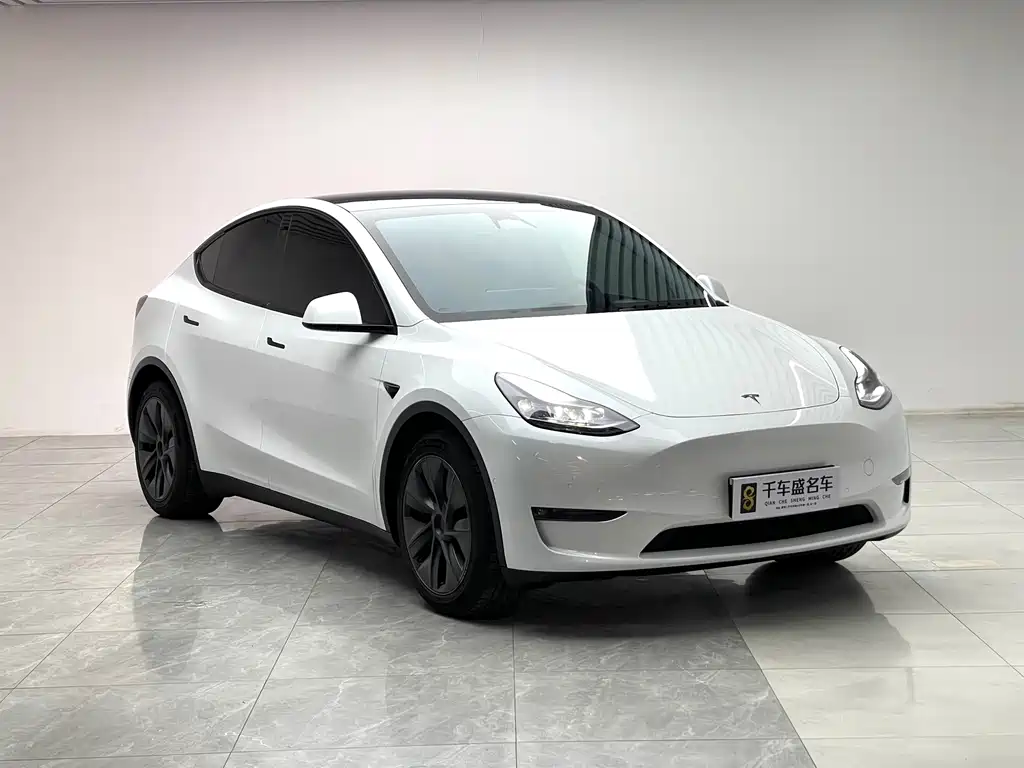 Tesla Model Y — миниатюра 3
