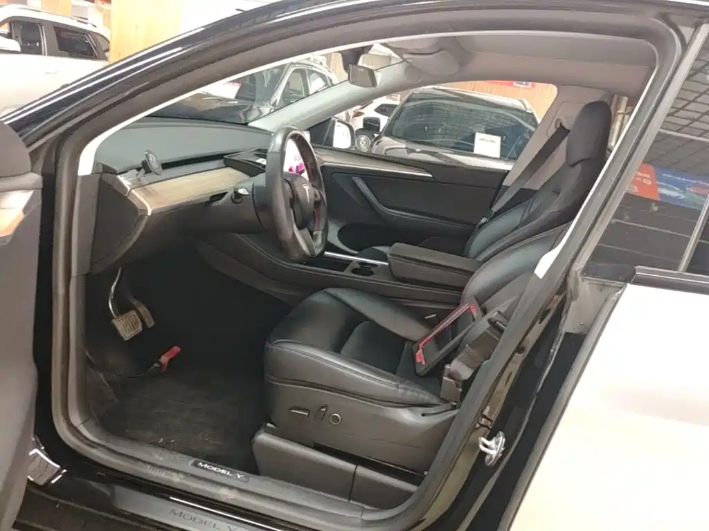 Tesla Model Y — миниатюра 15