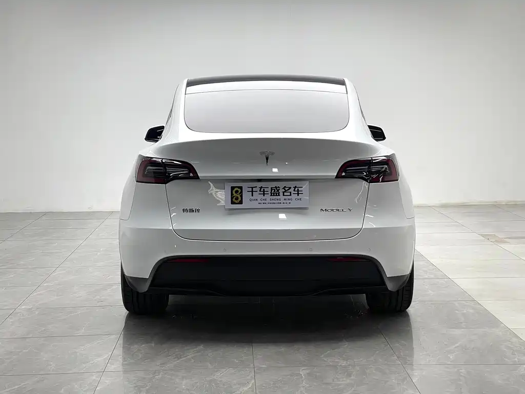 Tesla Model Y — миниатюра 5