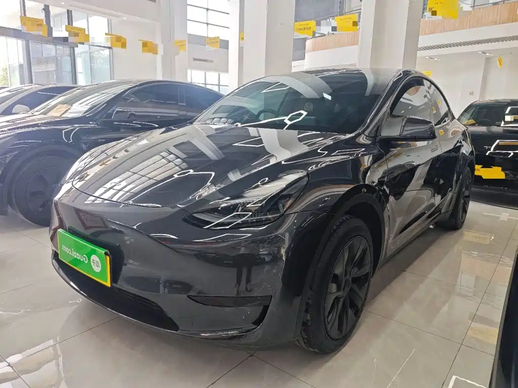 Tesla Model Y — миниатюра 2