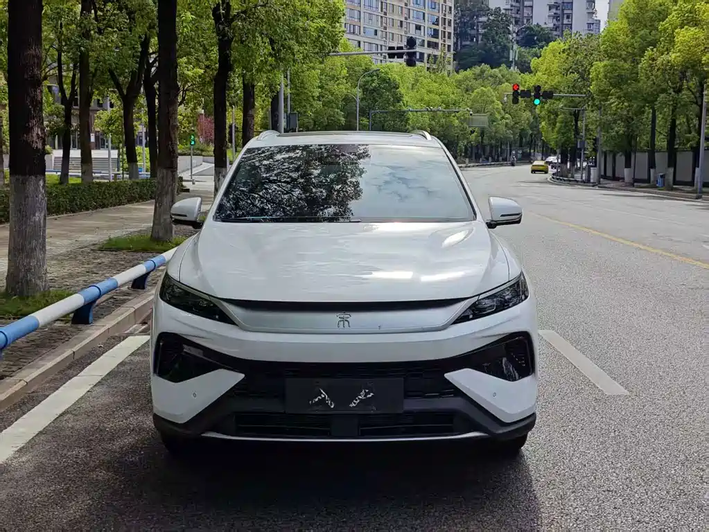 BYD Pro New Energy — миниатюра 2