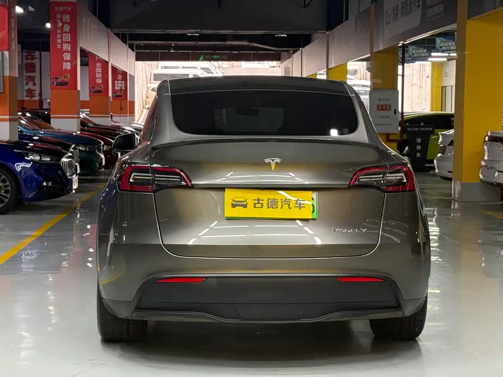 Tesla Model Y — миниатюра 6