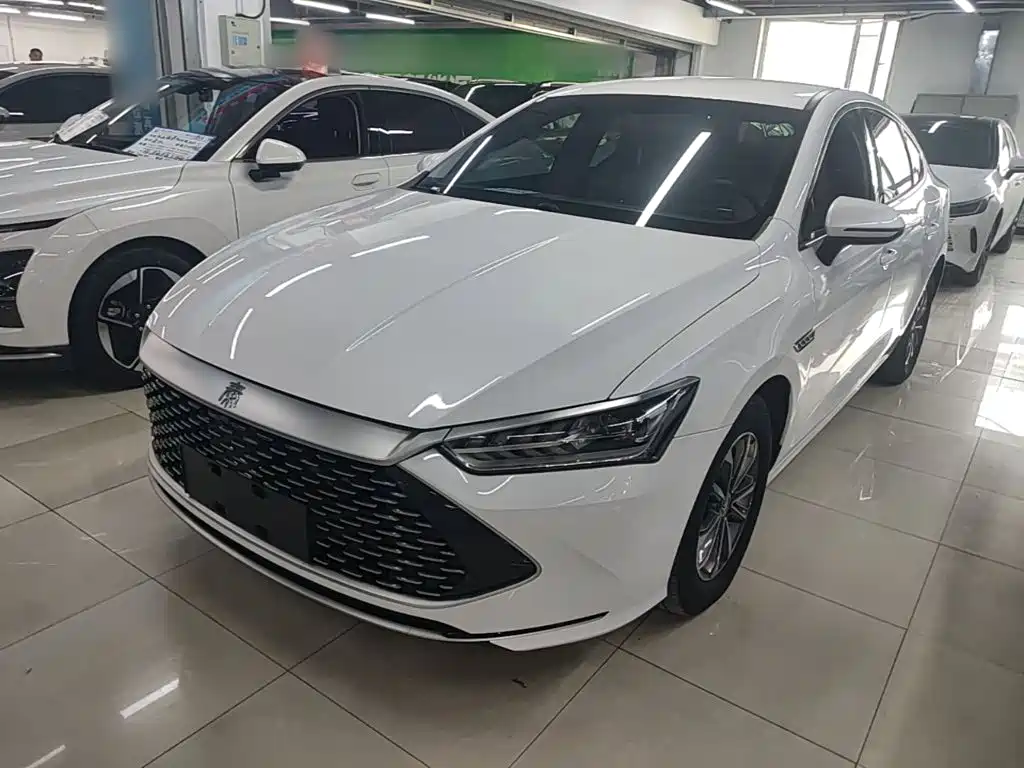 BYD Qin Plus PLUS 2023 Champion DM-i 55KM Lead