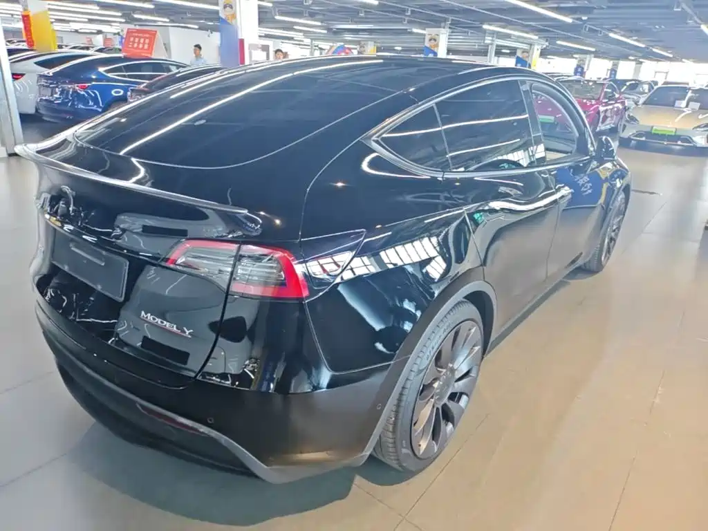 Tesla Model Y — миниатюра 7