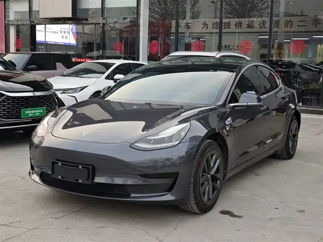 TESLA MODEL 3 2020