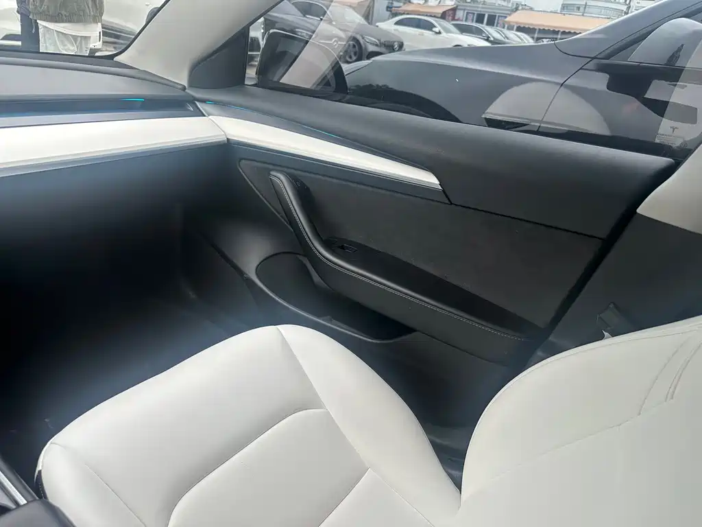 Tesla Model 3 2022 Performance