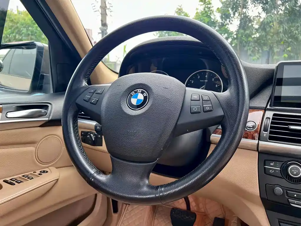 BMW X5 (Import) — миниатюра 12