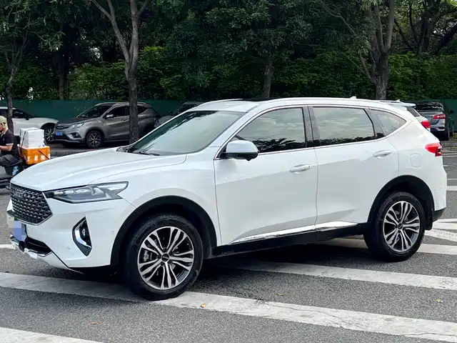 2020 Haval F7
