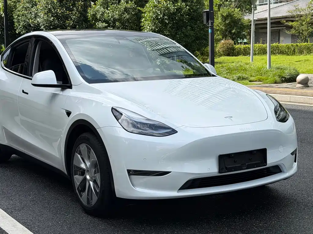 Tesla Model Y — миниатюра 10