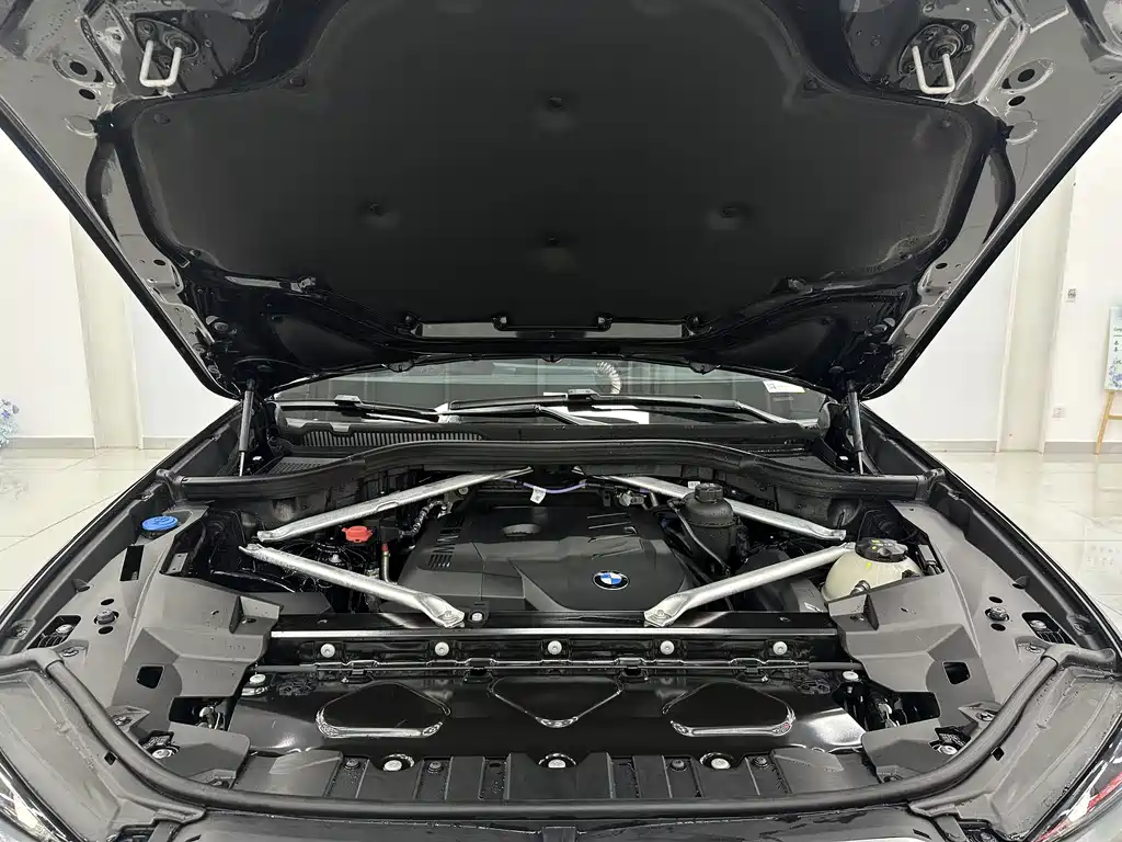 BMW X5 — миниатюра 24
