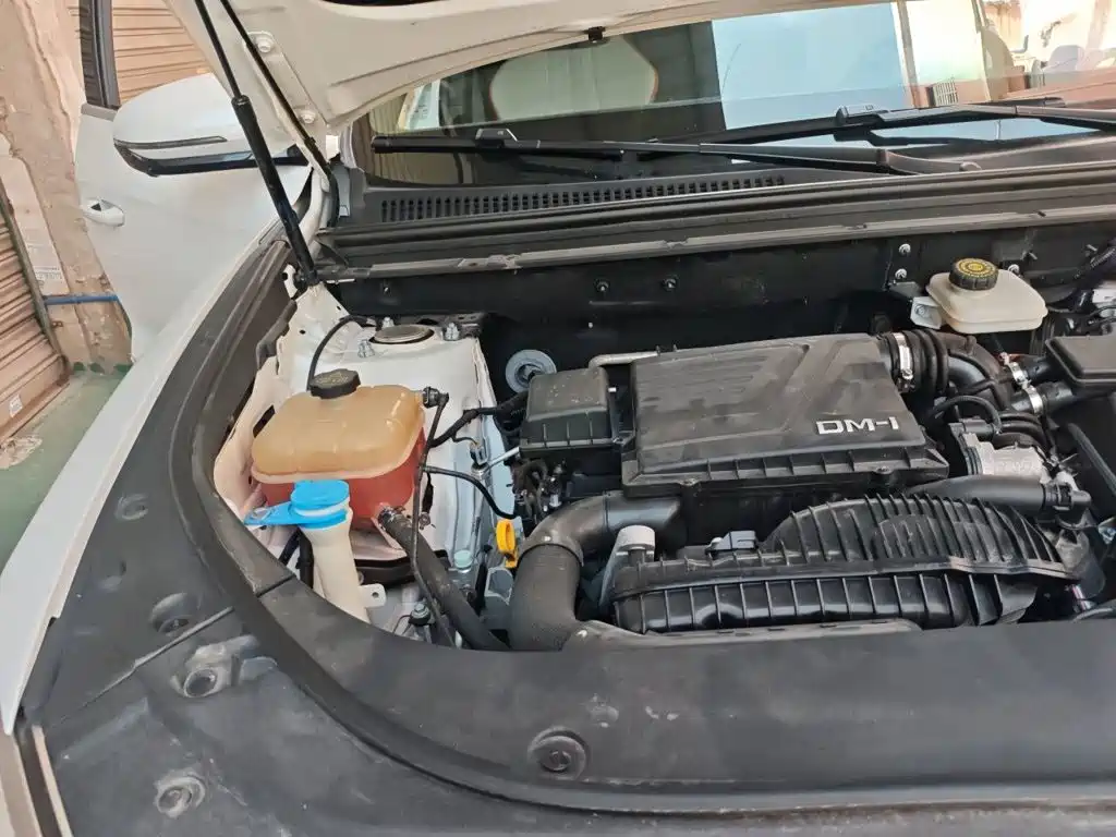 BYD Pro New Energy — миниатюра 21