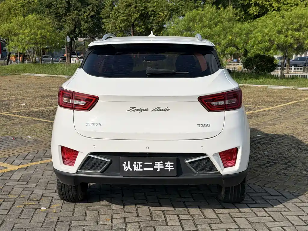 Zotye Zotye T300 — миниатюра 13