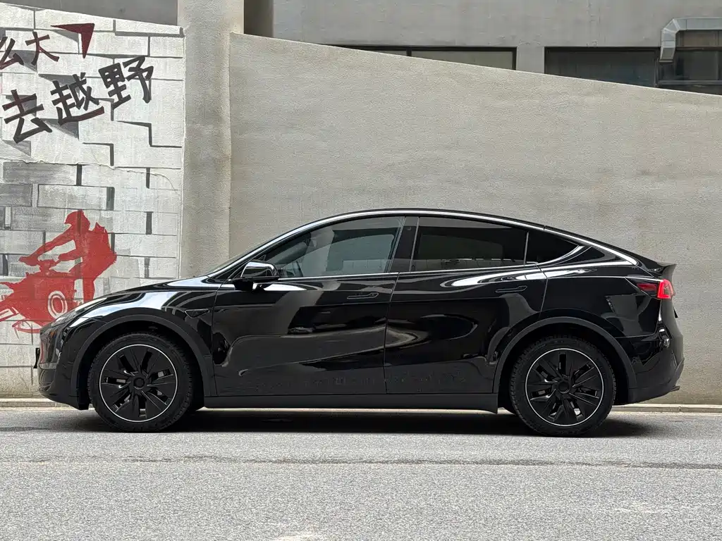 Tesla Model Y — миниатюра 3