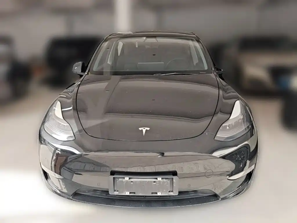 Tesla Model Y — миниатюра 5