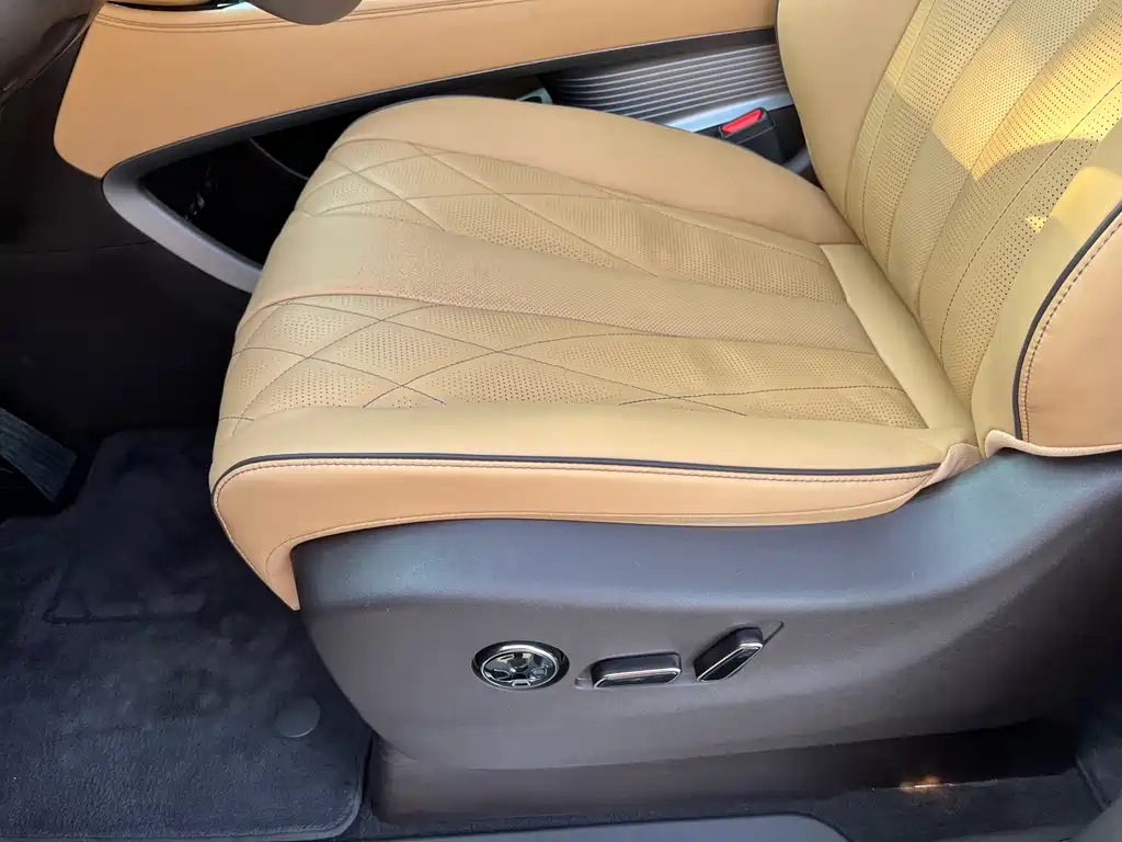 Denza Denza D9 — миниатюра 9