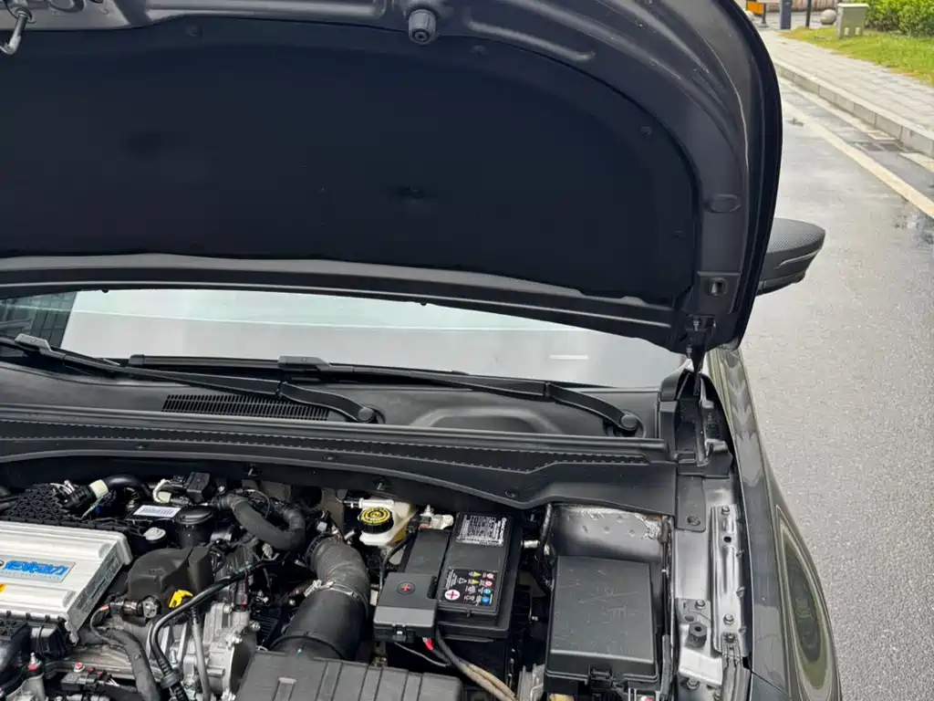 GAC Motor Shadow Leopard — миниатюра 15