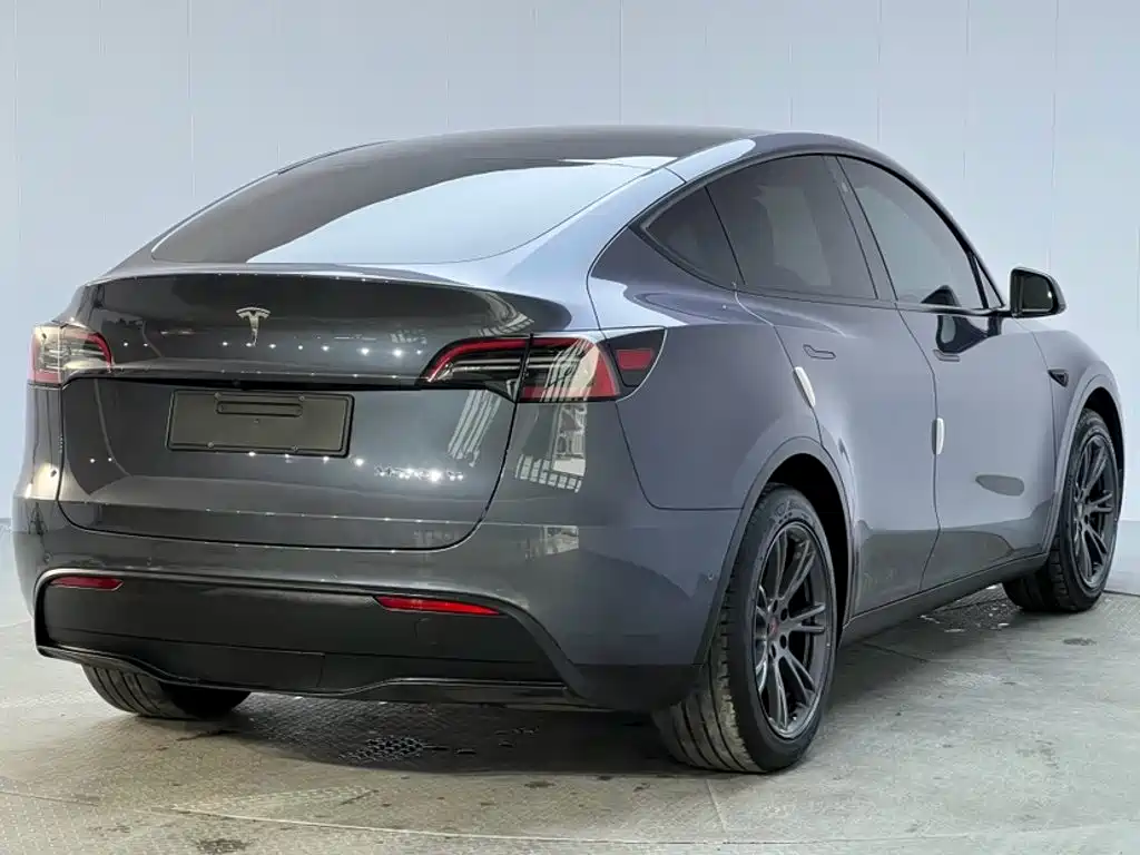 Tesla Model Y — миниатюра 6