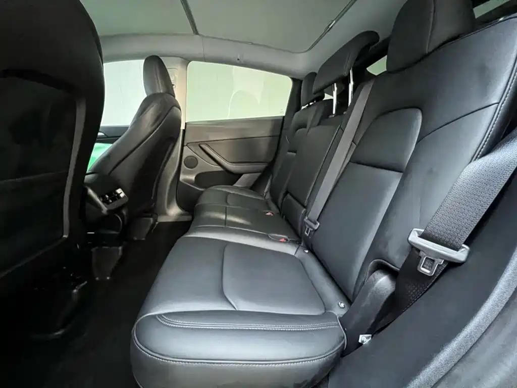 Tesla Model Y — миниатюра 10