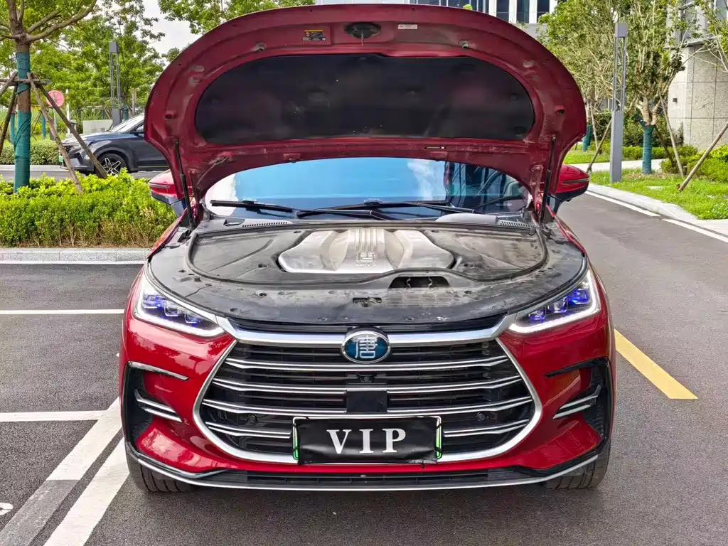 BYD Tang New Energy — миниатюра 10