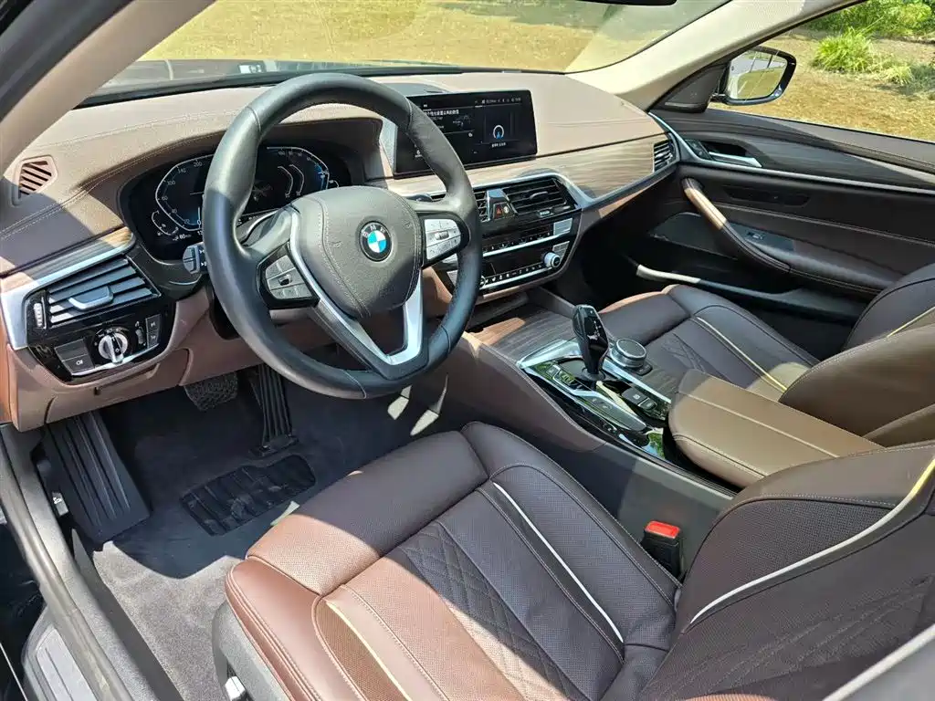 BMW 5 Series 5 2020 530Le