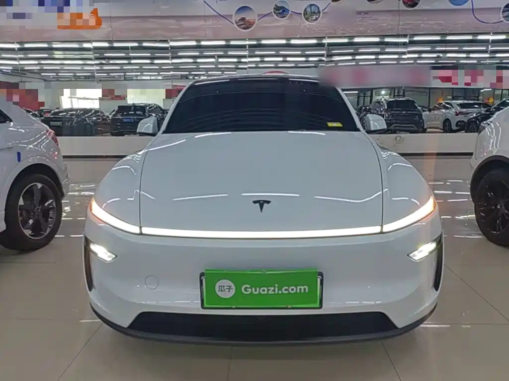 Tesla Model Y — миниатюра 3
