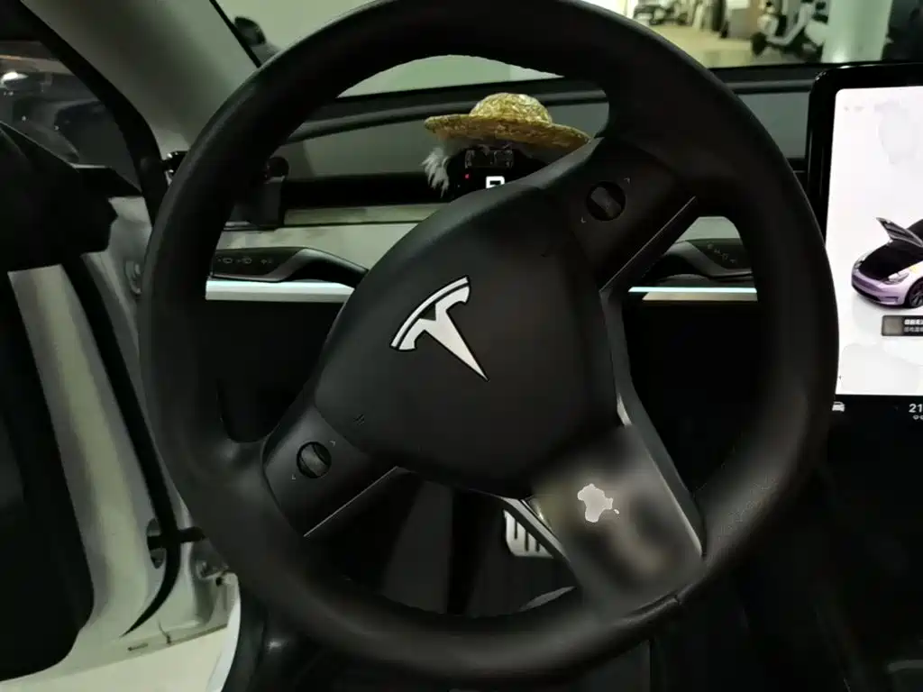 Tesla Model Y — миниатюра 11