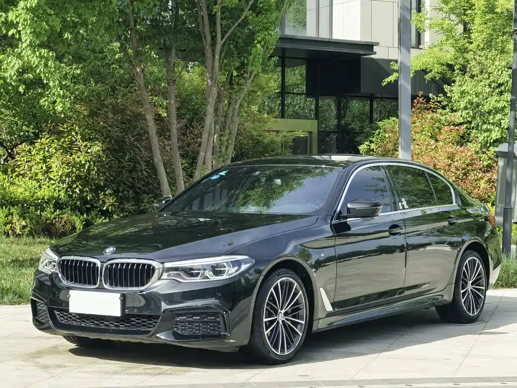 BMW 5 Series 2019