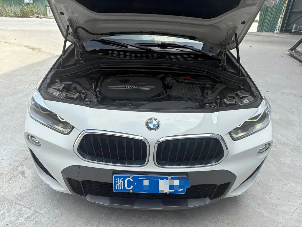 BMW X2 (Import) — миниатюра 9