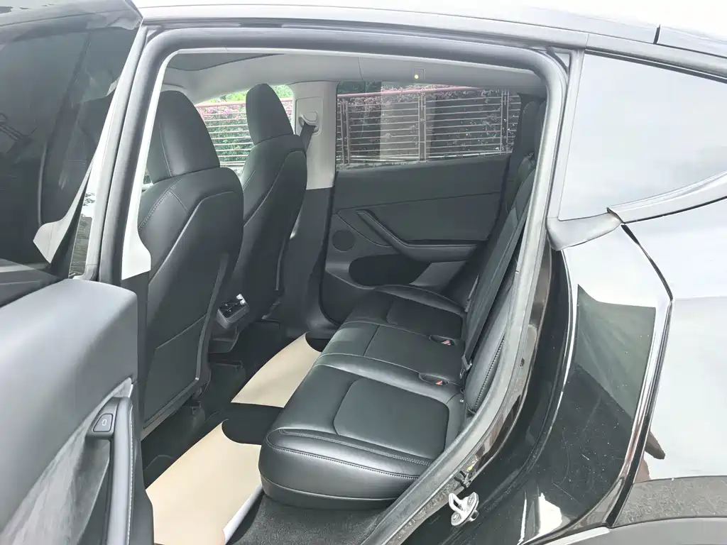 Tesla Model Y — миниатюра 13