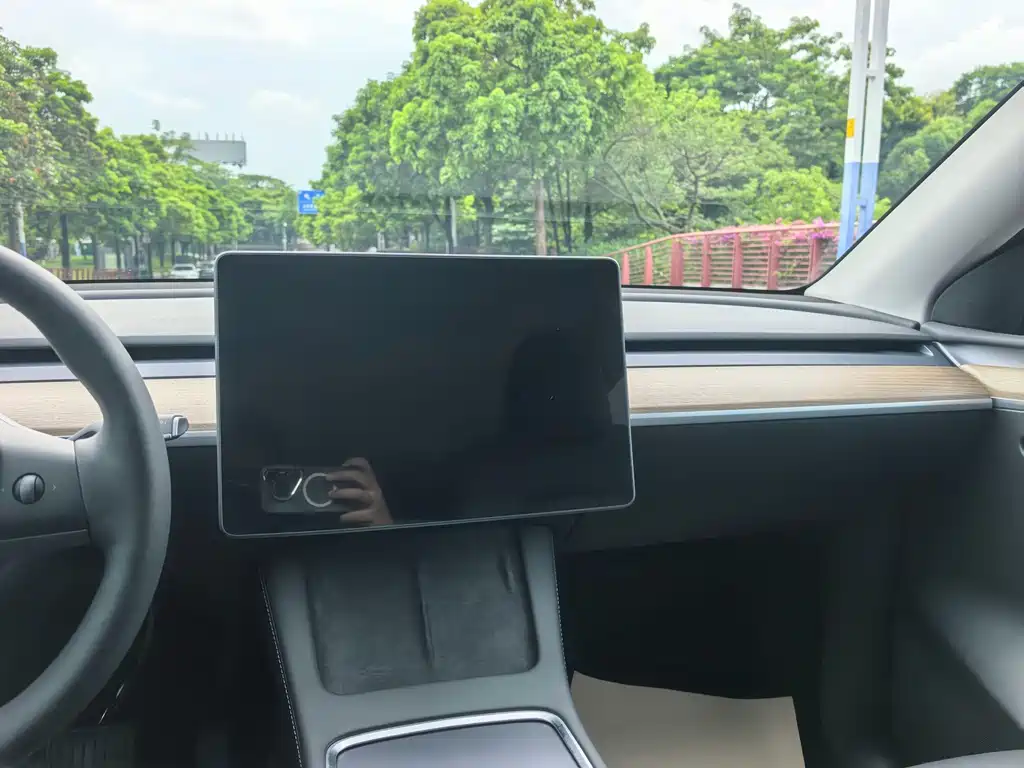 Tesla Model Y — миниатюра 12