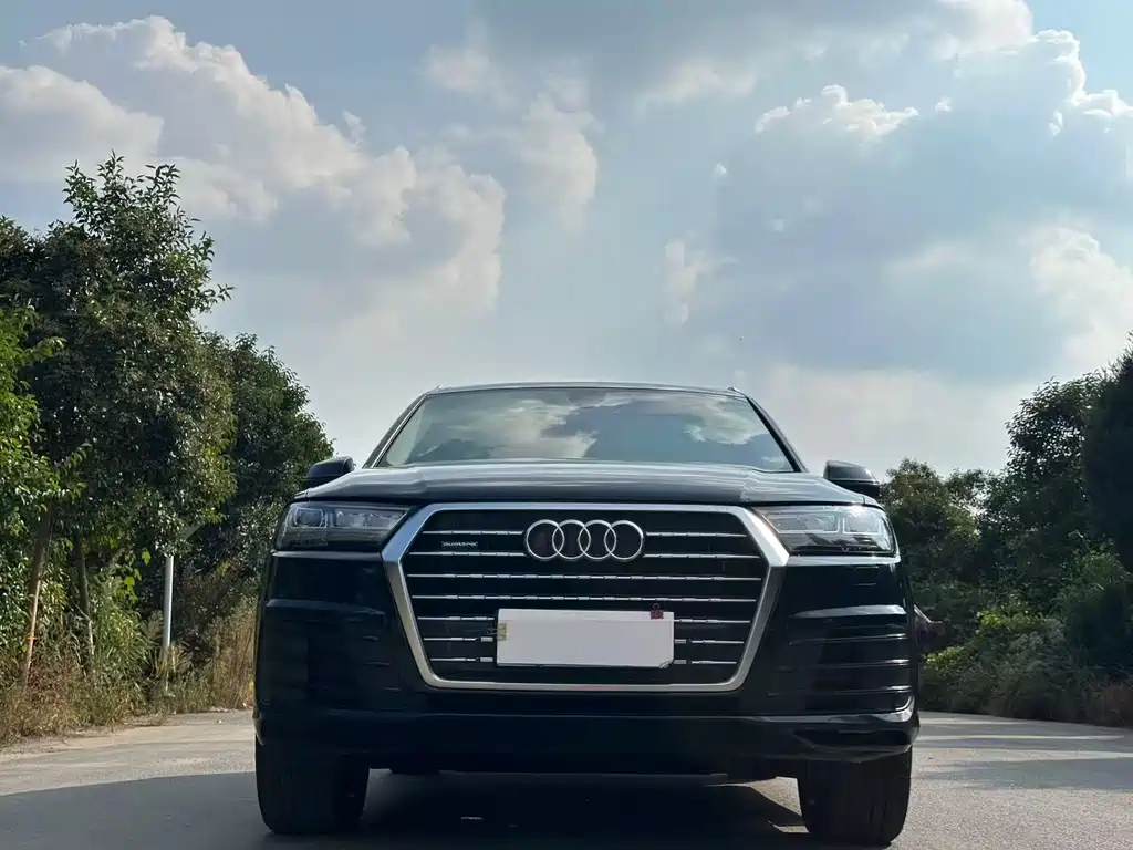 Audi Q7 — миниатюра 2