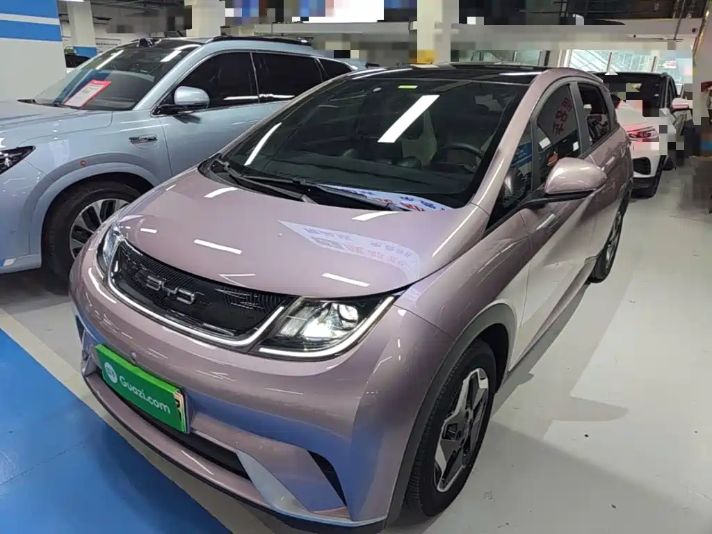 BYD Dolphin 2021 405km Fashion