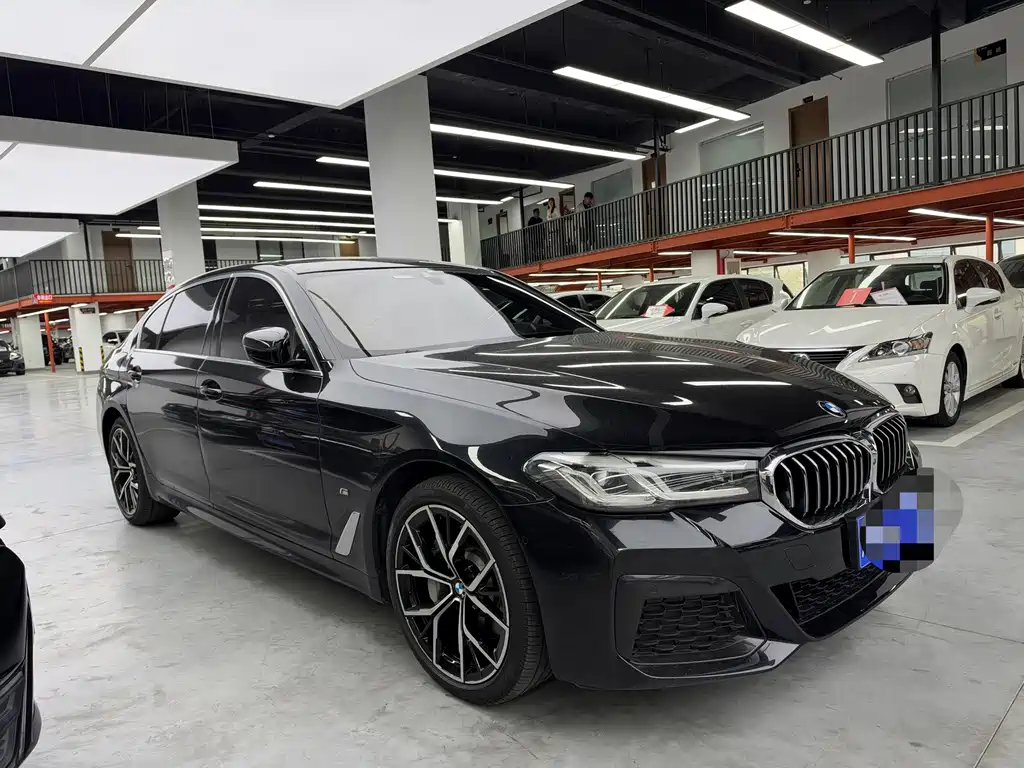 BMW 5 Series — миниатюра 3