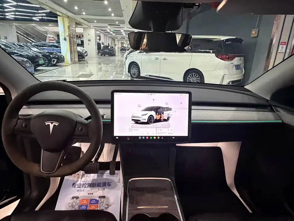 Tesla Model Y — миниатюра 4