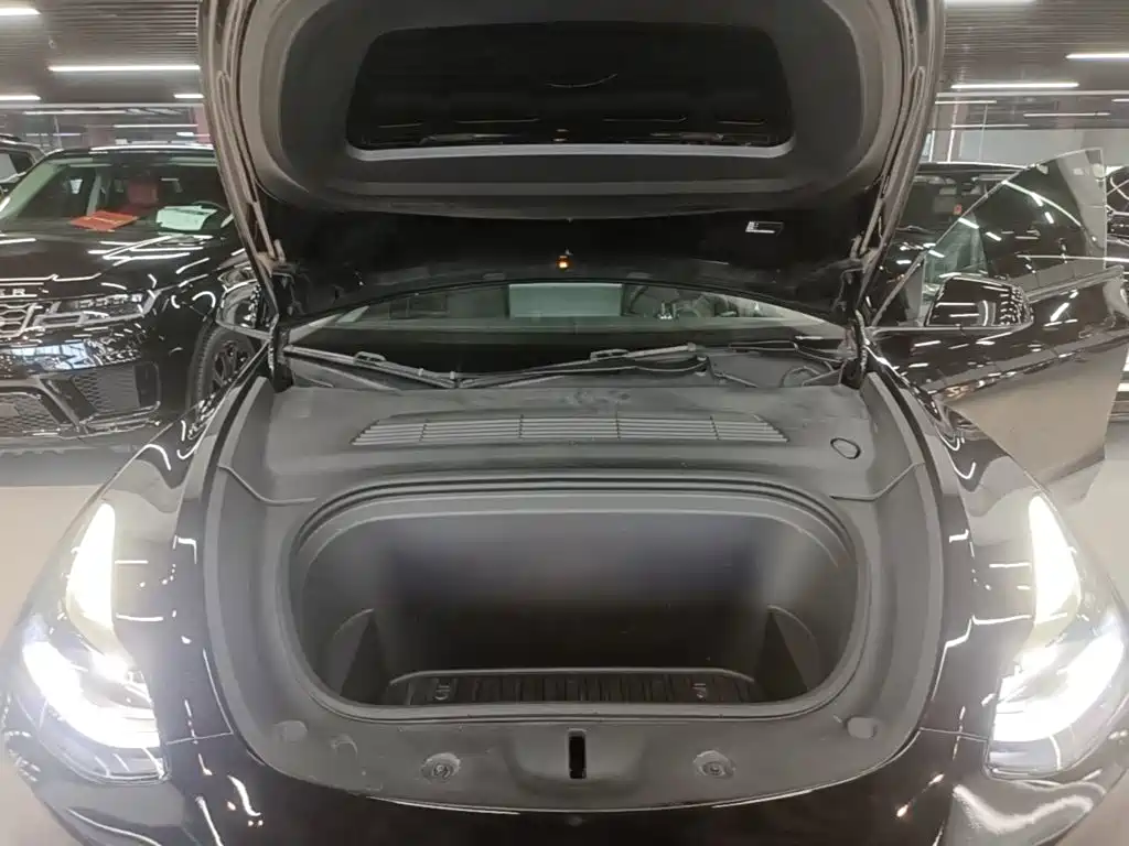 Tesla Model Y — миниатюра 20