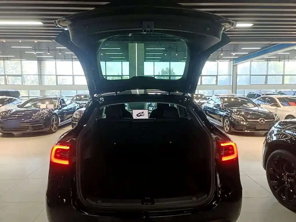 Tesla Model Y — миниатюра 19