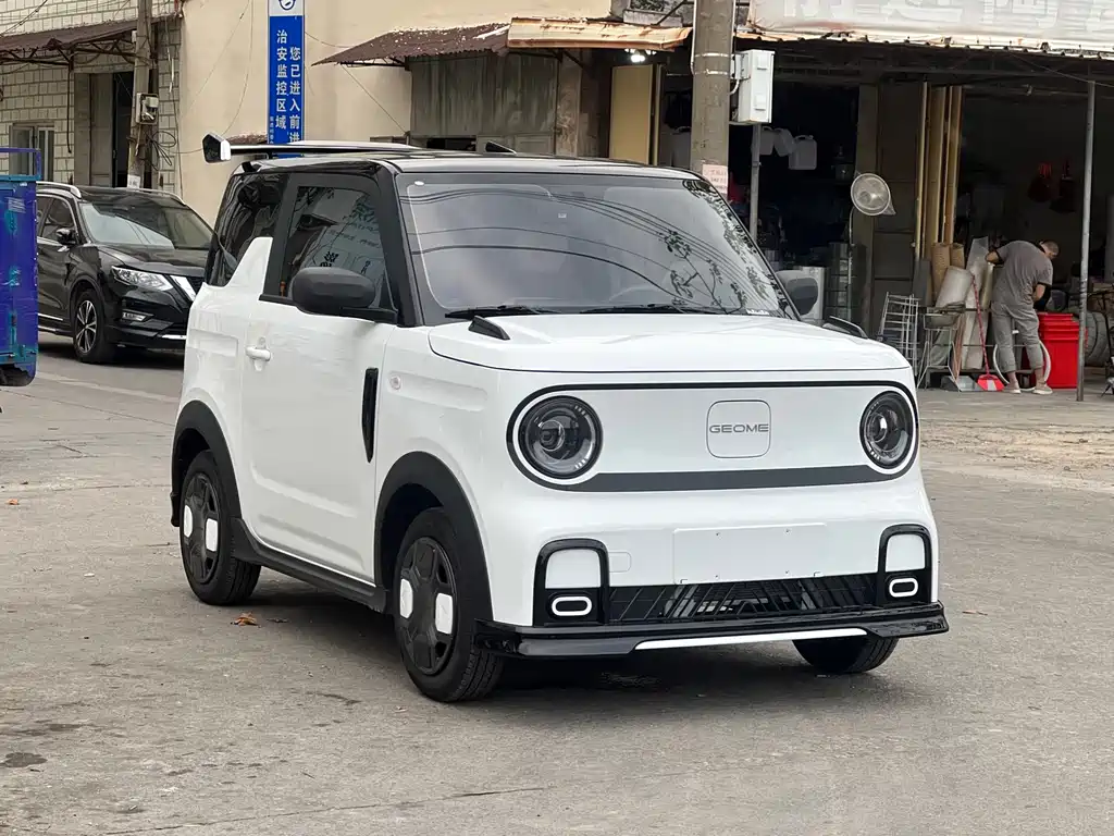 GEELY GALAXY PANDA