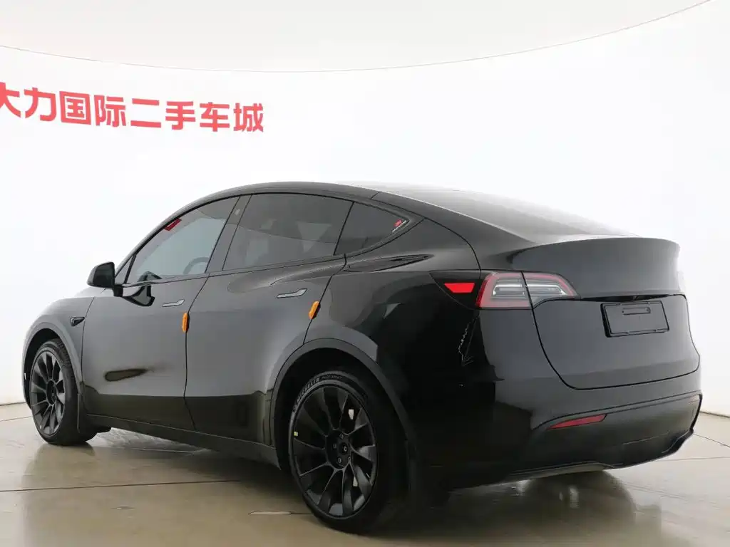 Tesla Model Y — миниатюра 7