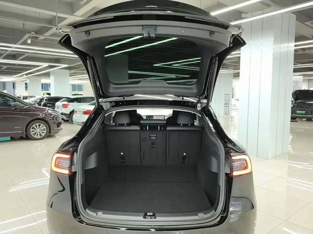 Tesla Model Y — миниатюра 19