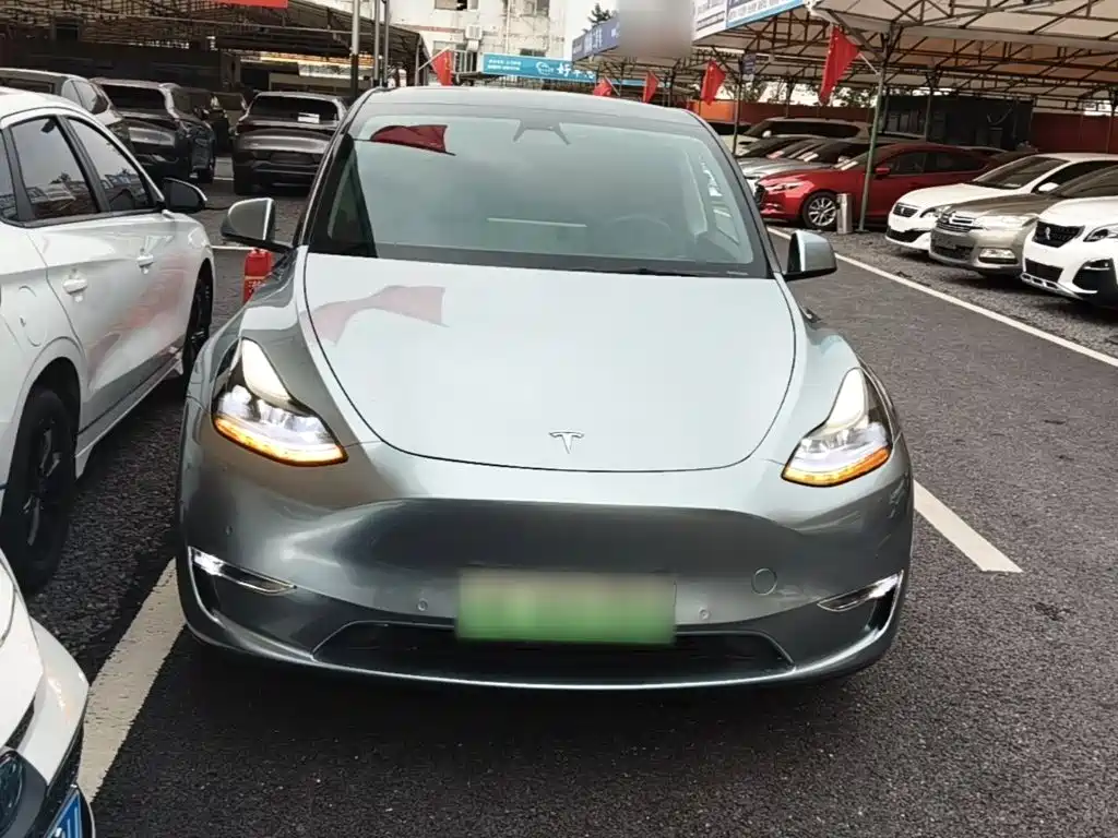 Tesla Model Y — миниатюра 3