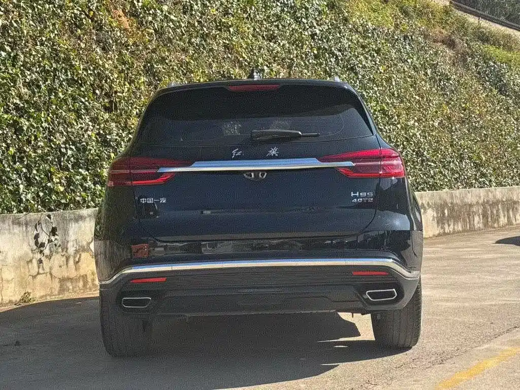 Hongqi HONGQI HS5