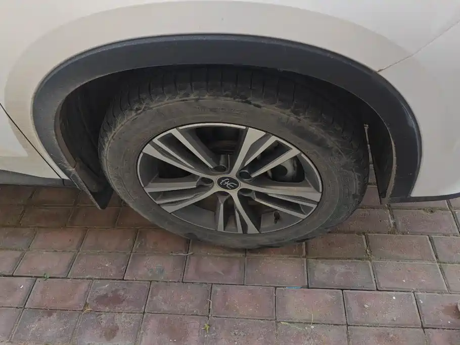 BYD Pro — миниатюра 6