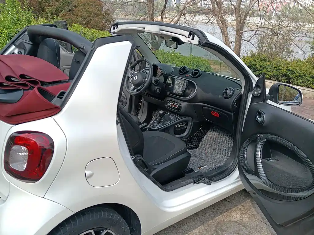 smart Smart Fortwo — миниатюра 16