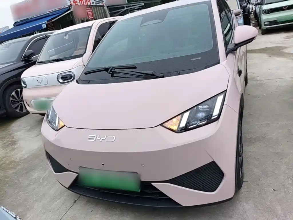 BYD Seagull 2025 Smart Drive 305km Freedom