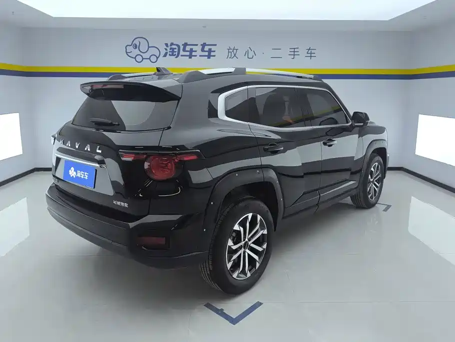 Haval Big Dog PLUS — миниатюра 3
