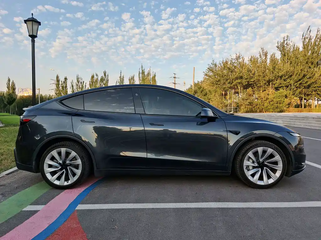 Tesla Model Y — миниатюра 12