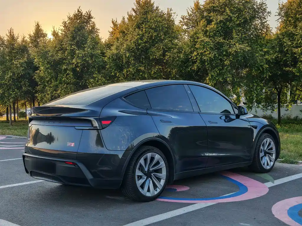 Tesla Model Y — миниатюра 6