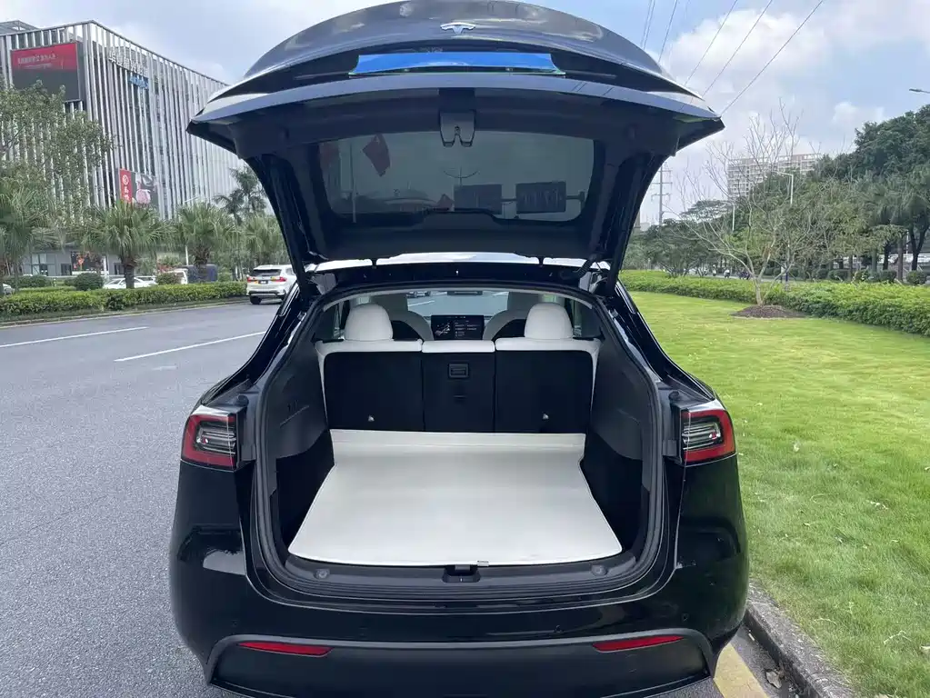 Tesla Model Y — миниатюра 8