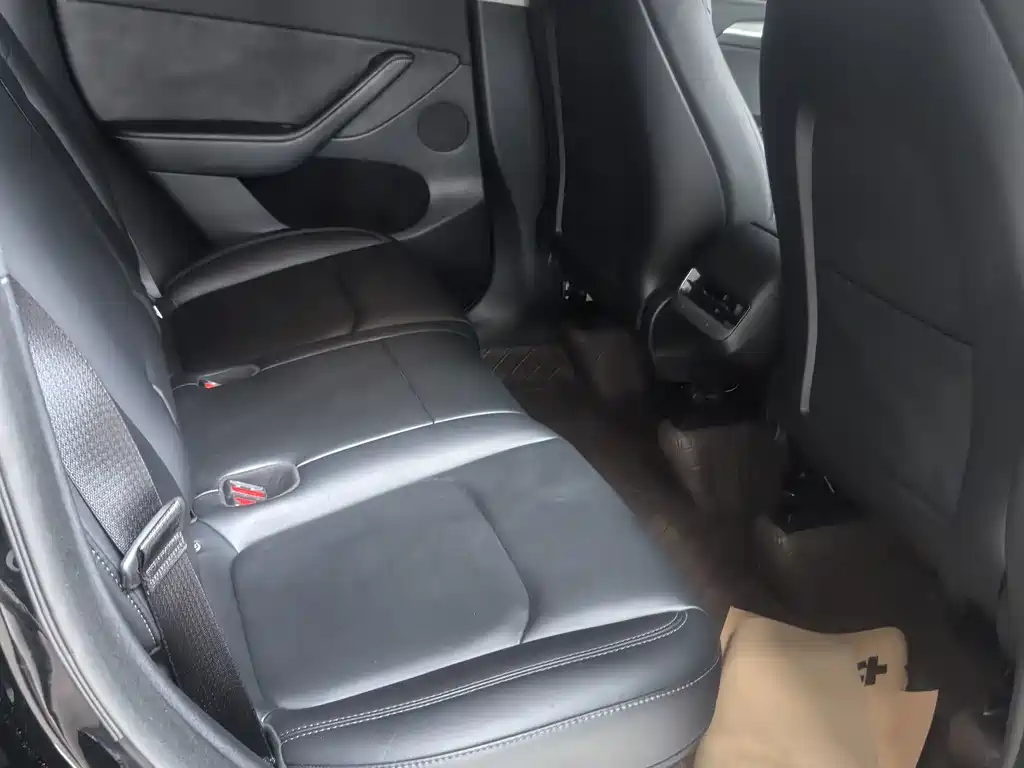Tesla Model Y — миниатюра 4