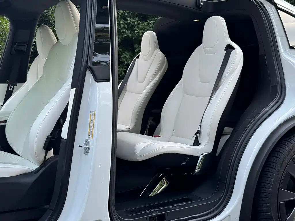 Tesla Model X — миниатюра 10